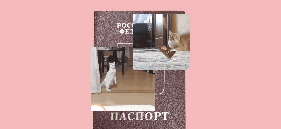 Что делать при краже паспорта: порядок восстановления