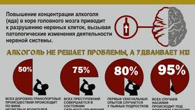 Что делать, если муж изменяет в состоянии алкогольного опьянения в Lady&Gentleman City