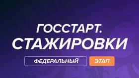 Что относится к государственным заказам в Lady&Gentleman City