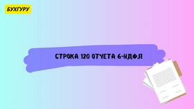 Что отражается в строке НДФЛ в Lady&Gentleman City