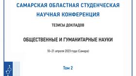 Что означает оплатить натурой в Lady&Gentleman City