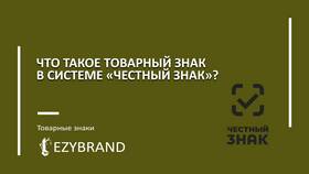 Что такое пошлины на товары простыми словами в Lady&Gentleman City