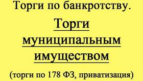 Что такое приватизация муниципального имущества в Lady&Gentleman City