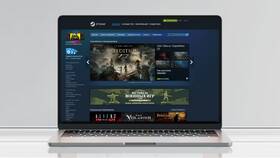 Как купить игру в Steam через кошелек в Lady&Gentleman City