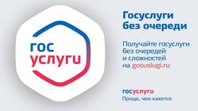 Как можно узнать информацию на портале Госуслуги в Lady&Gentleman City