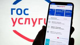 Как получить выписку из реестра лицензий через Госуслуги в Lady&Gentleman City