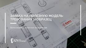 Как правильно подать заявку: пошаговая инструкция в Lady&Gentleman City