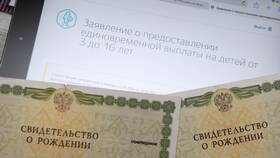 Как правильно понимать реквизиты свидетельства о рождении в Lady&Gentleman City