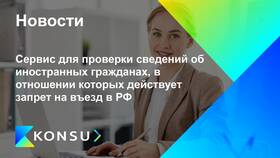 Как проверить запрет на въезд в РФ в Lady&Gentleman City