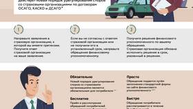 Как страховая компания перечисляет страховые выплаты в Lady&Gentleman City