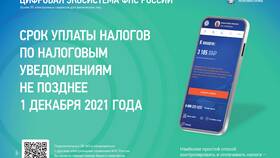 Как заплатить налог по ИНН в Lady&Gentleman City