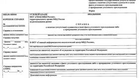 Как запросить справку об отсутствии судимости в Lady&Gentleman City