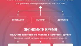 Почему ФНС не видит ИНН: причины и решения в Lady&Gentleman City