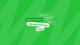 Почему организации называются юридическими лицами в Lady&Gentleman City