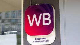 Причины списания денег за доставку на Wildberries в Lady&Gentleman City