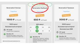 Стоимость услуг МегаФона в Крыму в Lady&Gentleman City
