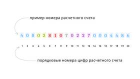 Валюта 810: что это означает в Lady&Gentleman City